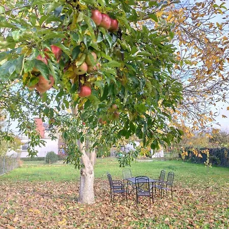 Wanda - Duzy Ogrod Z Hot-tube I Sauna Вилла Sztum