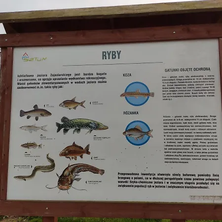 Villa Wanda - Duzy Ogrod Z Hot-tube I Sauna