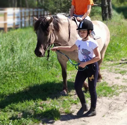 Wanda - Duzy Ogrod Z Hot-tube I Sauna Villa Sztum