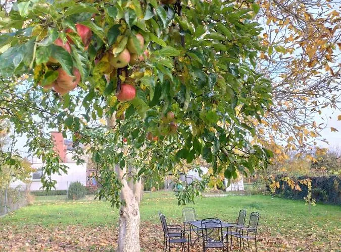 Wanda - Duzy Ogrod Z Hot-tube I Sauna Villa Sztum