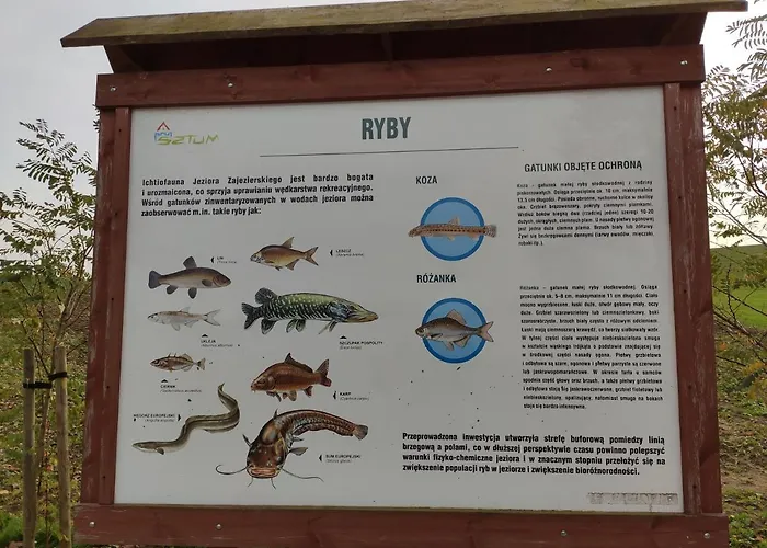 Vila Wanda - Duzy Ogrod Z Hot-tube I Sauna